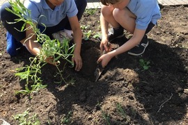 Sustainable September 