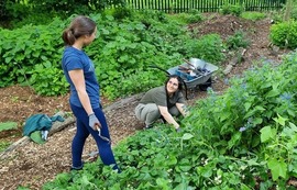 Two women planting in a garden