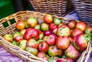Apples in basket