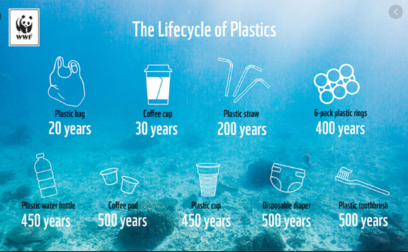 Life cycle of plastics