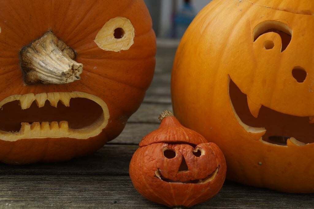 Pumpkins times three