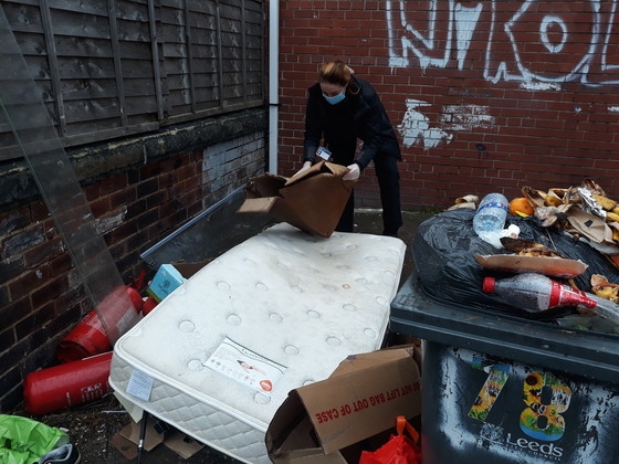 Fly Tip, Bayswater Mount