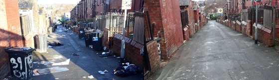 Dorsets & Hovinghams received a deep clean