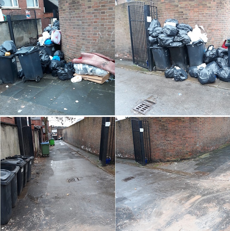 Back Nice View; cleansed and cleared of domestic waste