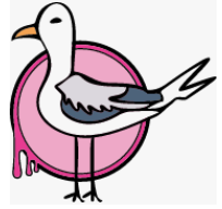 Seagulls paint Leeds