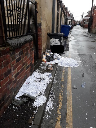 Back Seaforth Terrace