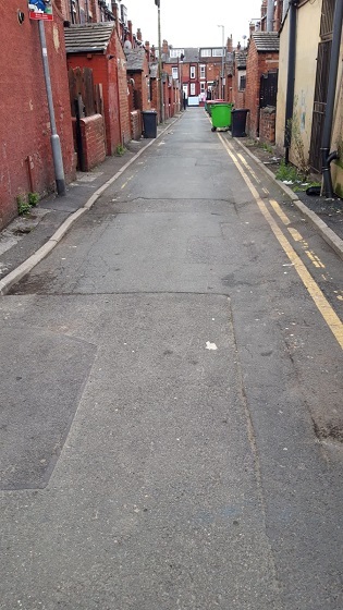 Back Seaforth Terrace cleansed