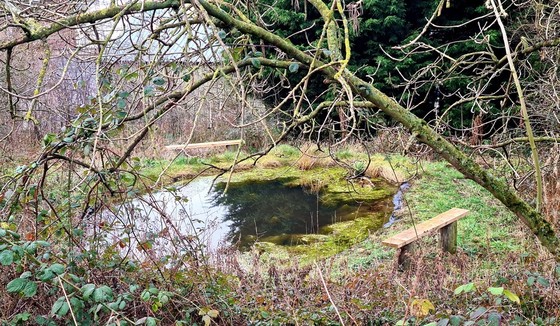 Photograph of the Sulzer pumps wildlife garden showing the pond surrounded by trees and wooden benches.