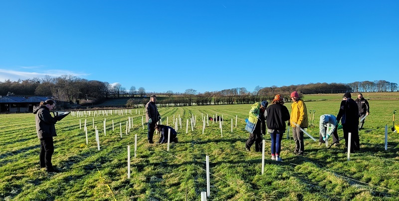 Tree planting at Gair Wood, Leeds