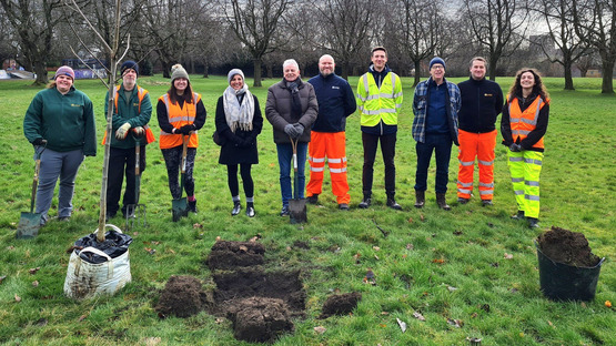 Armley Gyratory tree planting