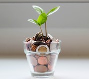 Coins in a plant pot with leaves growing out of it