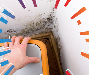 Picture of mould in a corner