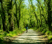 walks