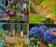 gardening comp