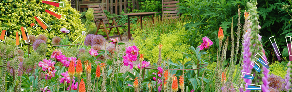 summer garden