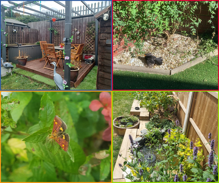 gardening