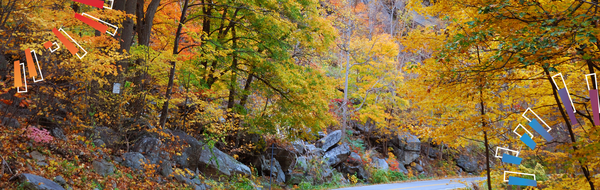 autumn banner