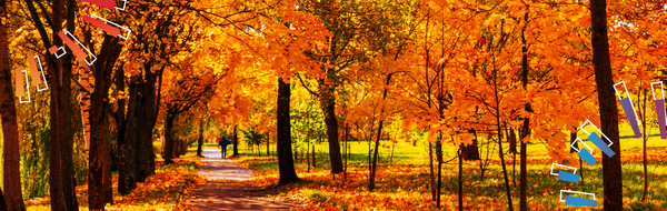autumn