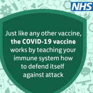 Vaccine and immune system