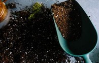 Gardening soil and trowel