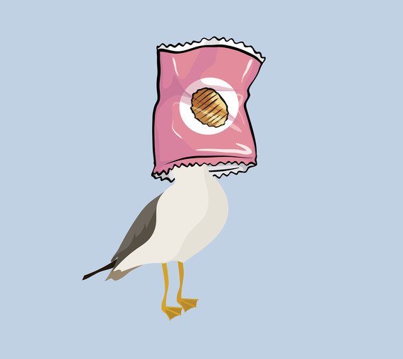 Cartoon of gull with crisp bag on its head