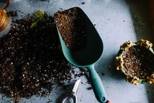 Gardening trowel and soil