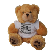 Library Teddy Bear