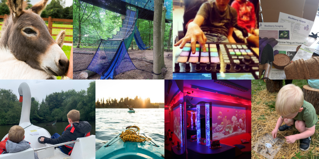Collage of summer activities