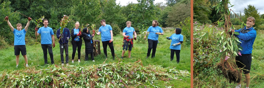 volunteers at fletcher moss park pulling up balsam plants