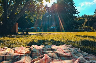 Picnic rug in a park with sun
