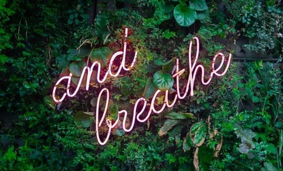 'And breathe' sign on a leafy background