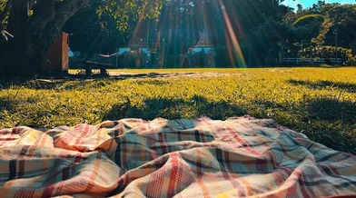 Picnic rug in a sunny park