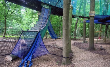 Tree top nets