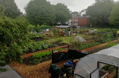 Platt Fields community garden