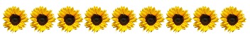 Sunflowers banner