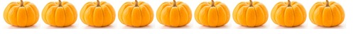 Line of pumpkins