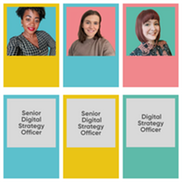 Digital Strategy Team