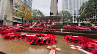 Remembrance Sunday poppies