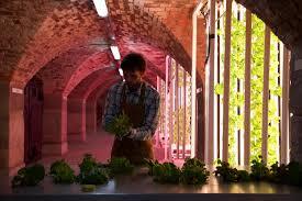 Farm Urban