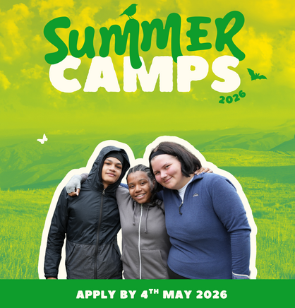 Summer camps poster