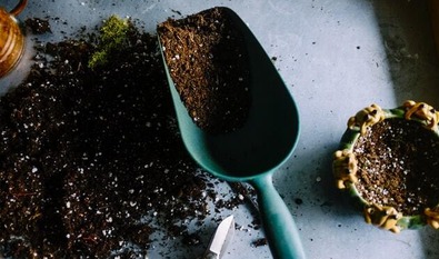 gardening trowel with soil