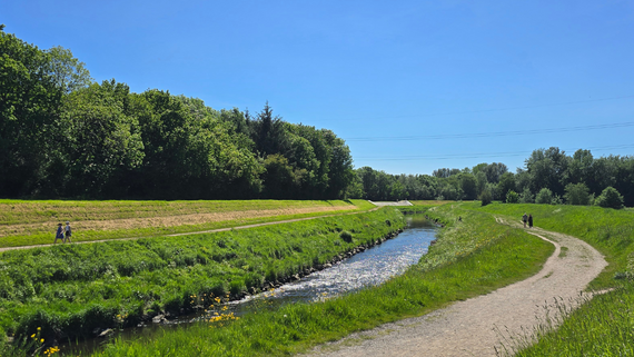 Photograph of the River Mersey in the Chorlton area