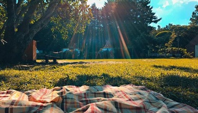 Summer picnic
