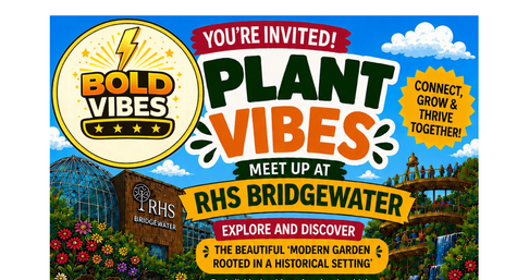 Plant Vibes poster