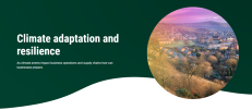 Climate adaptation and resilience