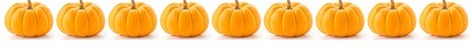 Line of pumpkins