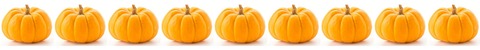 Line of pumpkins