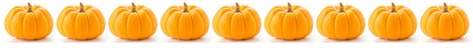 Row of pumpkins