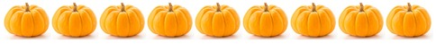Row of pumpkins