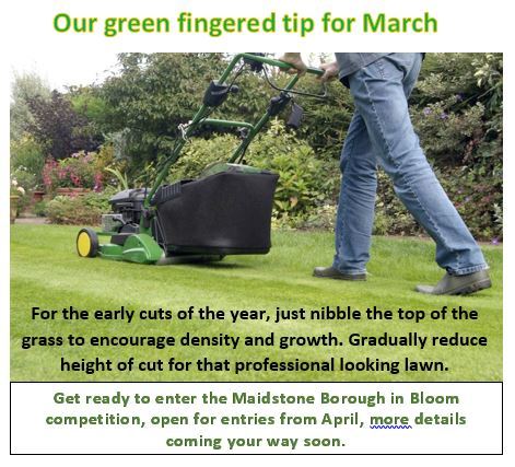 Green fingered tip for March to just cut the top off the grass as the first cut  